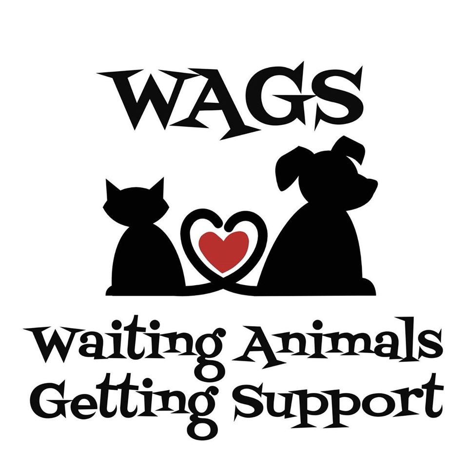 Waiting Animals Getting Support (WAGS)