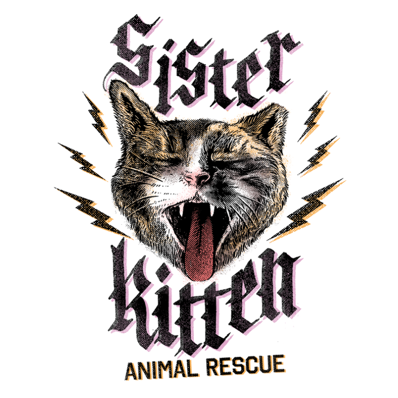 Sister Kitten Animal Rescue