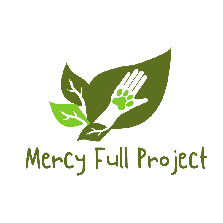 Mercy Full Project