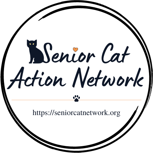 Shelter logo