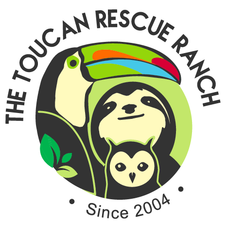 Toucan Rescue Ranch