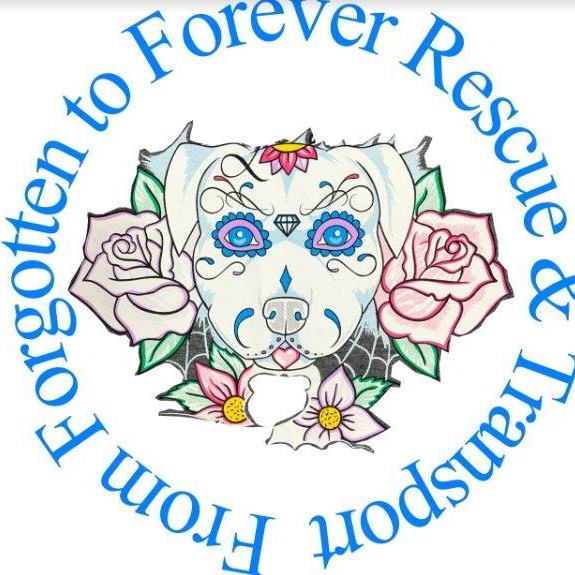 From Forgotten to Forever Rescue & Transport