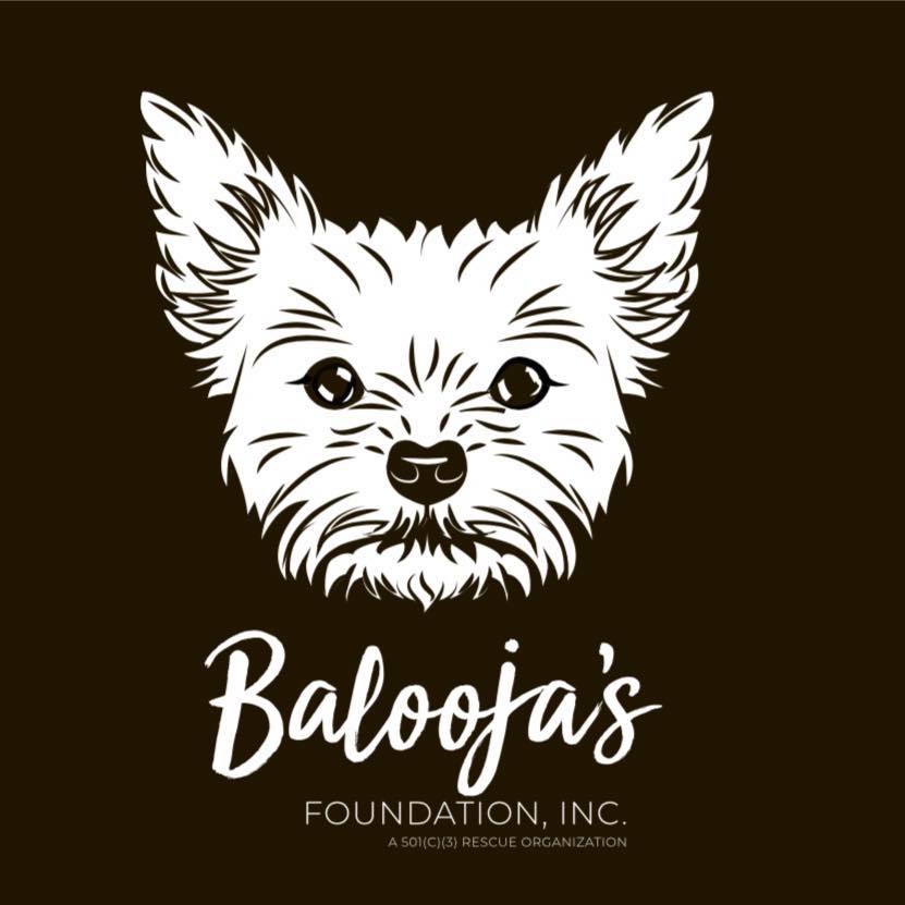 Balooja's Foundation