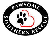 Pawsome Southern Rescue