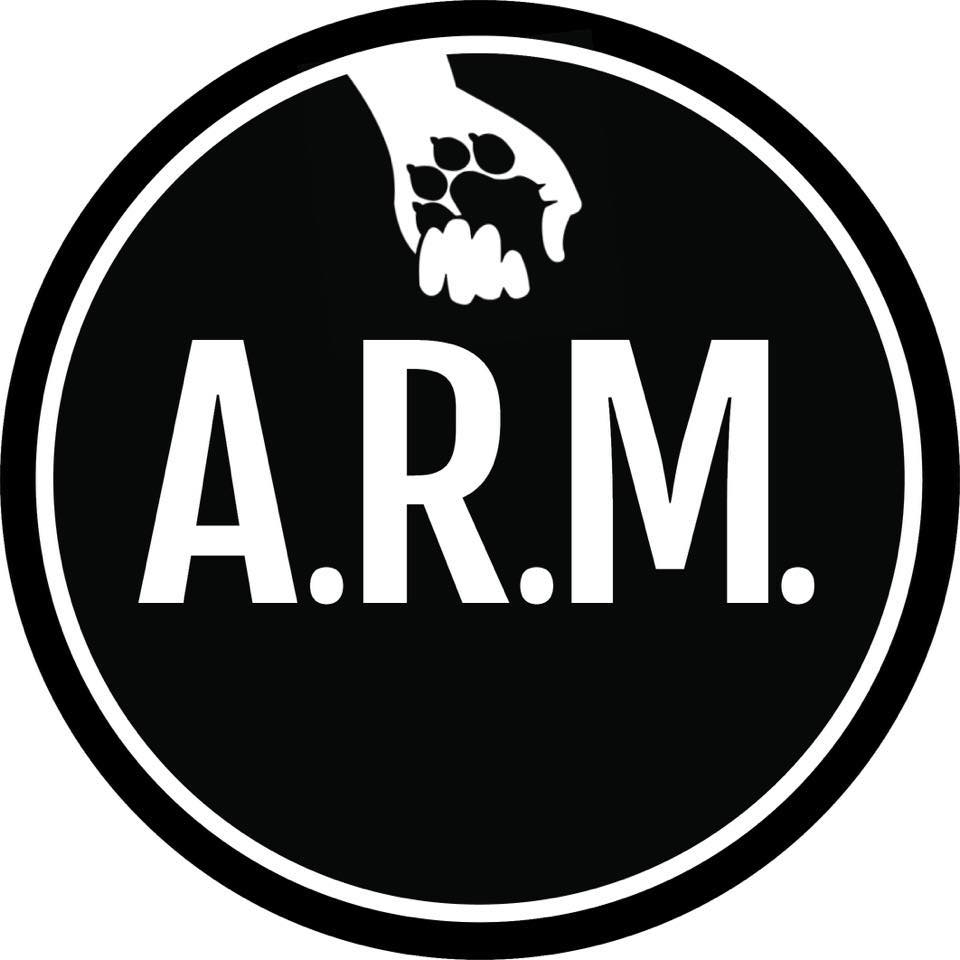Shelter logo