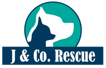 J & Co Dog Rescue