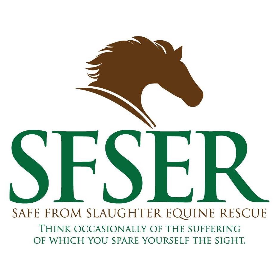 SFS Equine Rescue