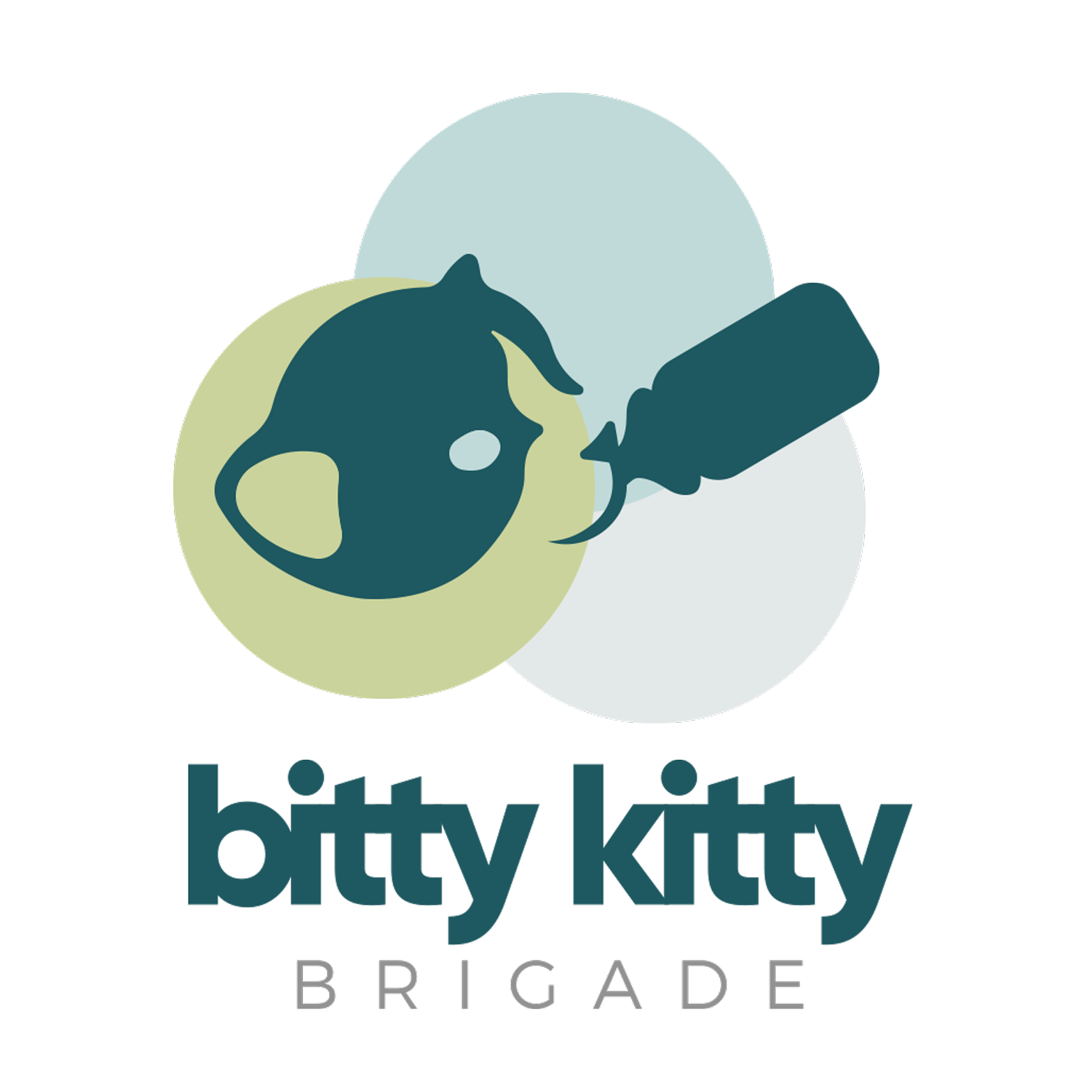 The Bitty Kitty Brigade