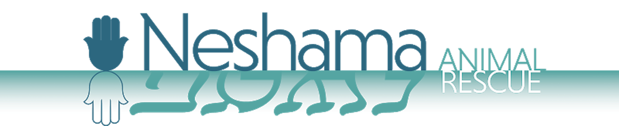 Neshama Animal Rescue