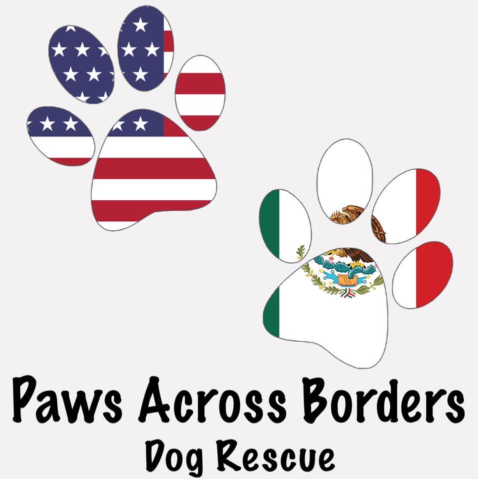 Paws Across Borders Dog Rescue