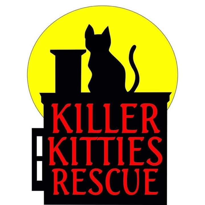 Killer Kitties Rescue