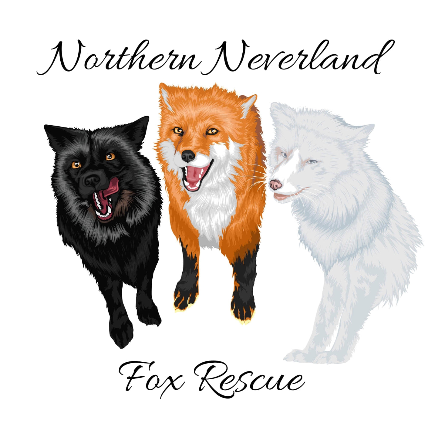 Northern Neverland Fox Rescue