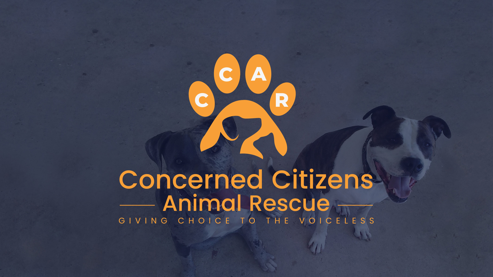 Concerned Citizens Animal Rescue