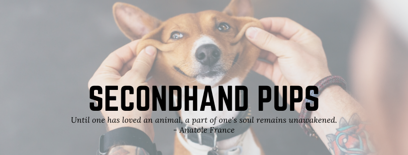 Secondhand Pups