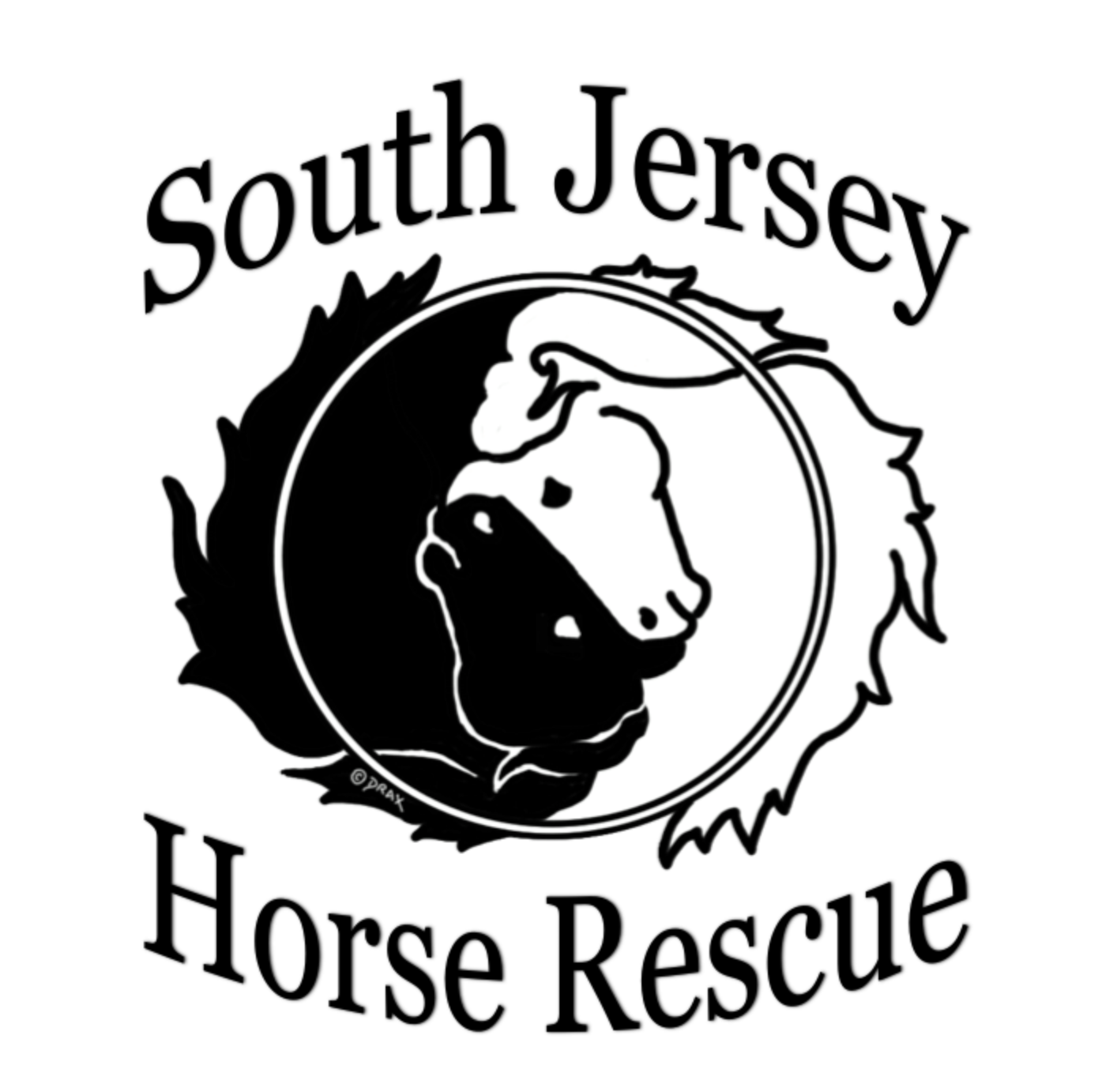 South Jersey All Breeds Horse Rescue CUDDLY