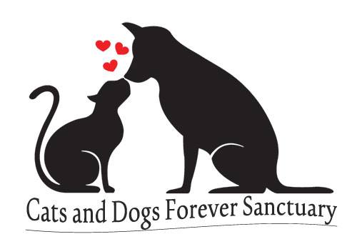 Cats and Dogs Forever Sanctuary