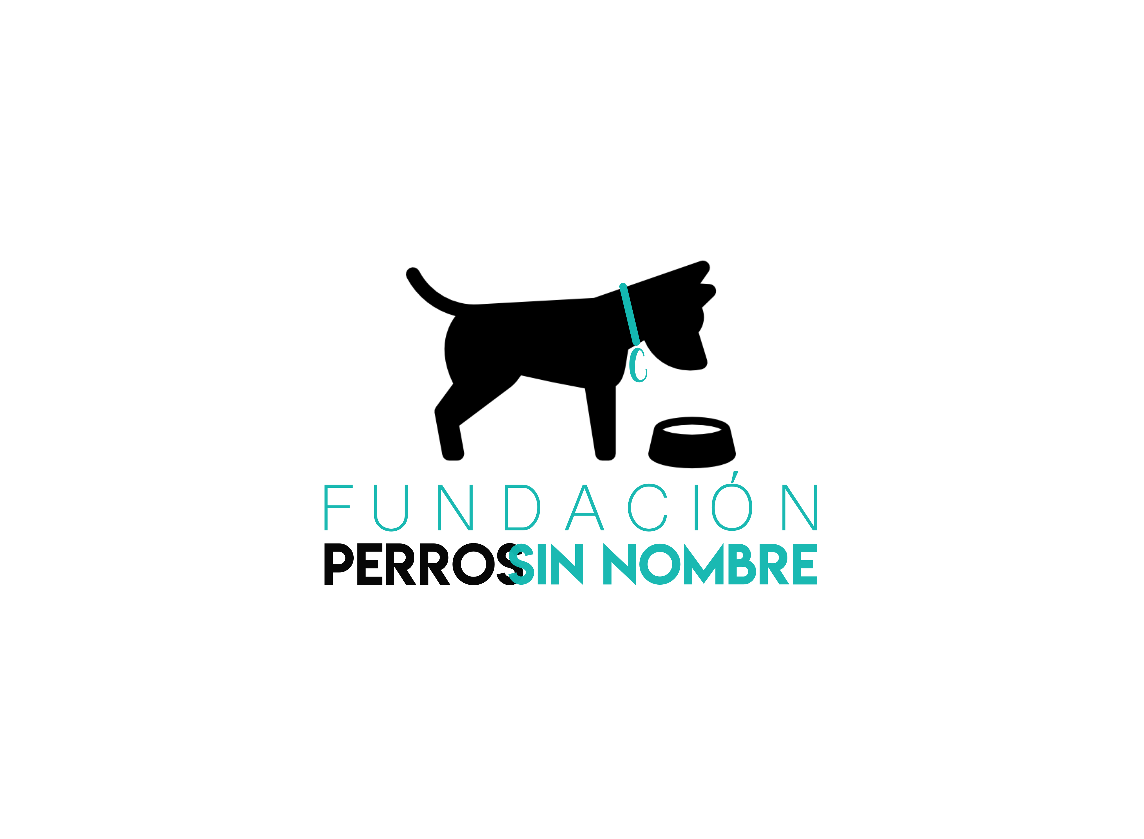 Fundacion Perros Sin Nombre Corporation