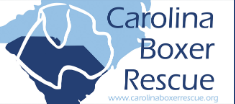 Carolina Boxer Rescue Inc.