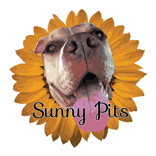 Sunny Pits Rescue