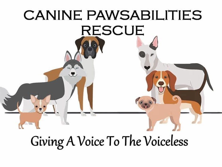 Canine Pawsabilities Rescue