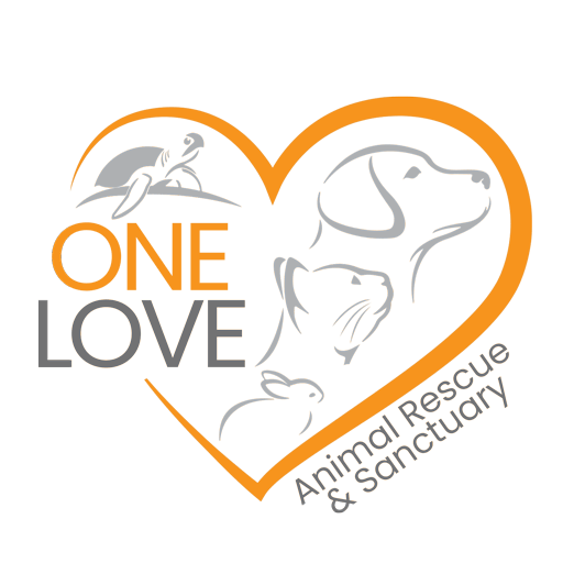 One Love Animal Rescue and Sanctuary