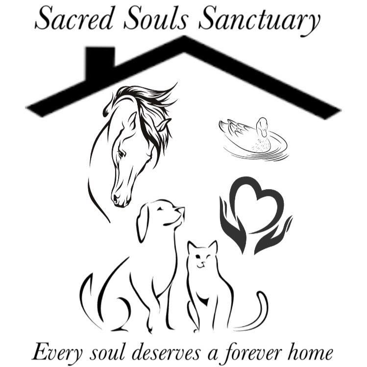 Sacred Souls Sanctuary