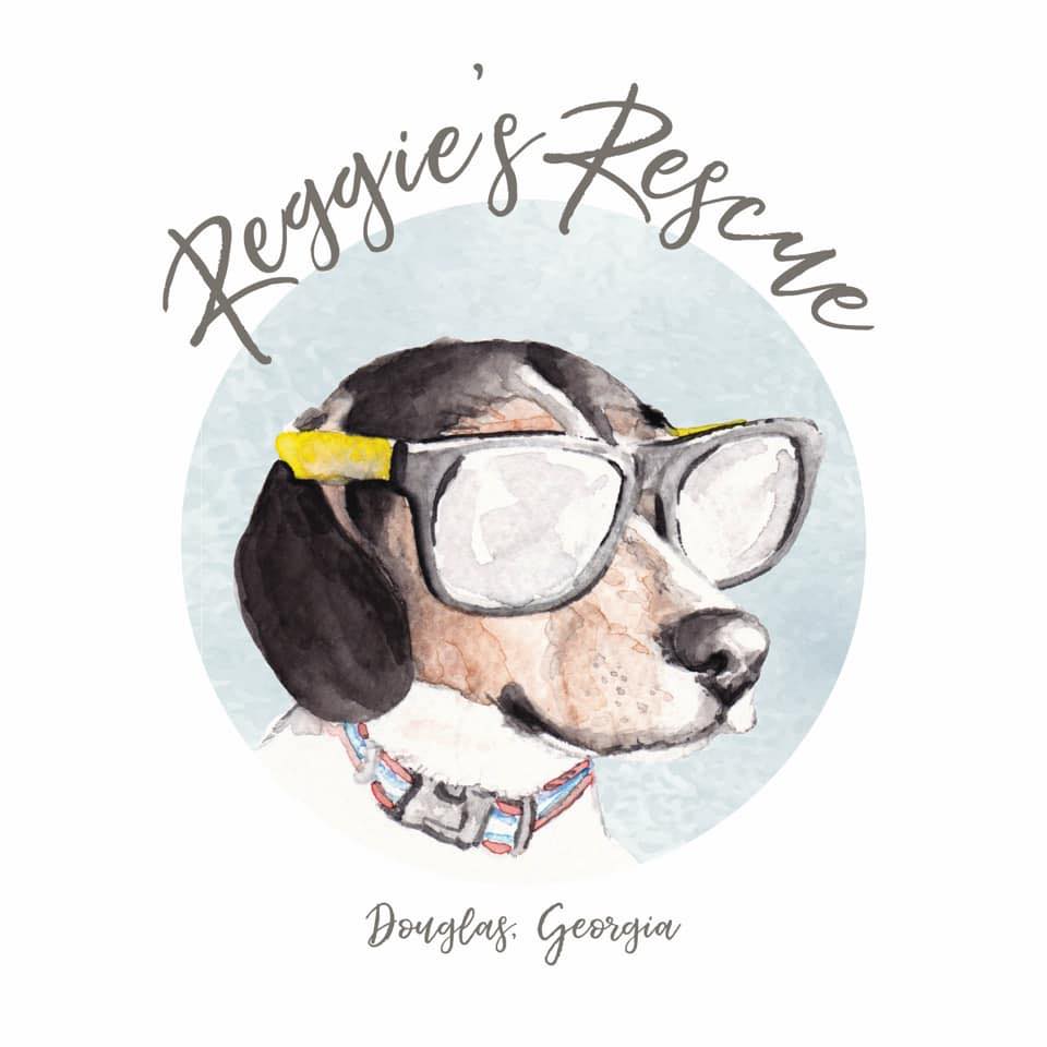 Reggies Rescue