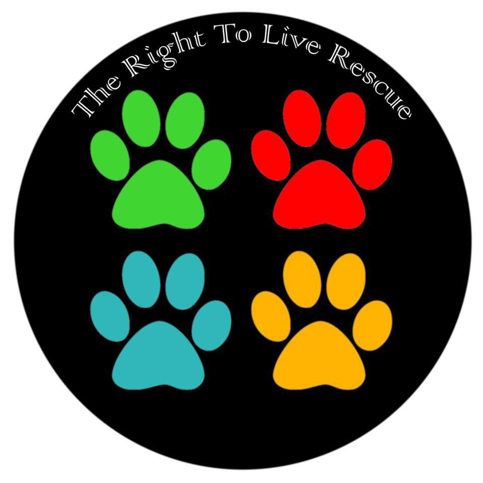 They Have The Right To Live Rescue