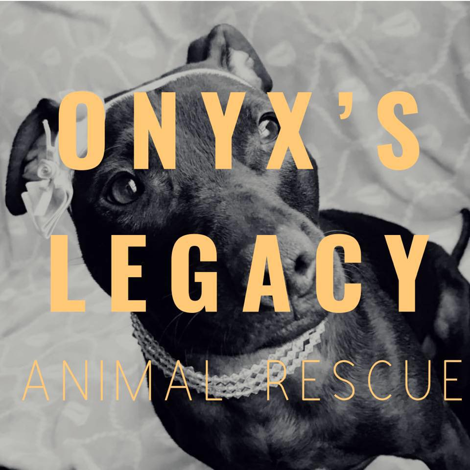 Onyx's Legacy Animal Rescue