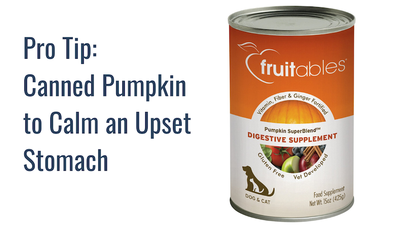 canned pumpkin