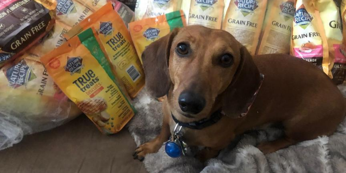 auggie with food from the food bank